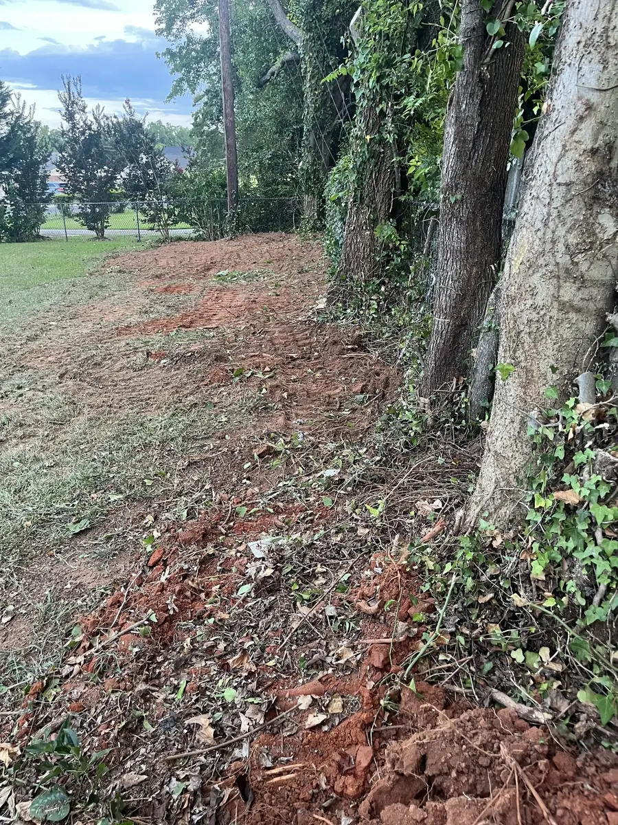Cleared ground along an established tree line